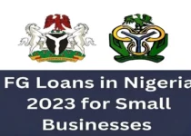 Complete List of Ongoing nigerian Federal Government FGN and CBN Loans and Grants For 2023. 