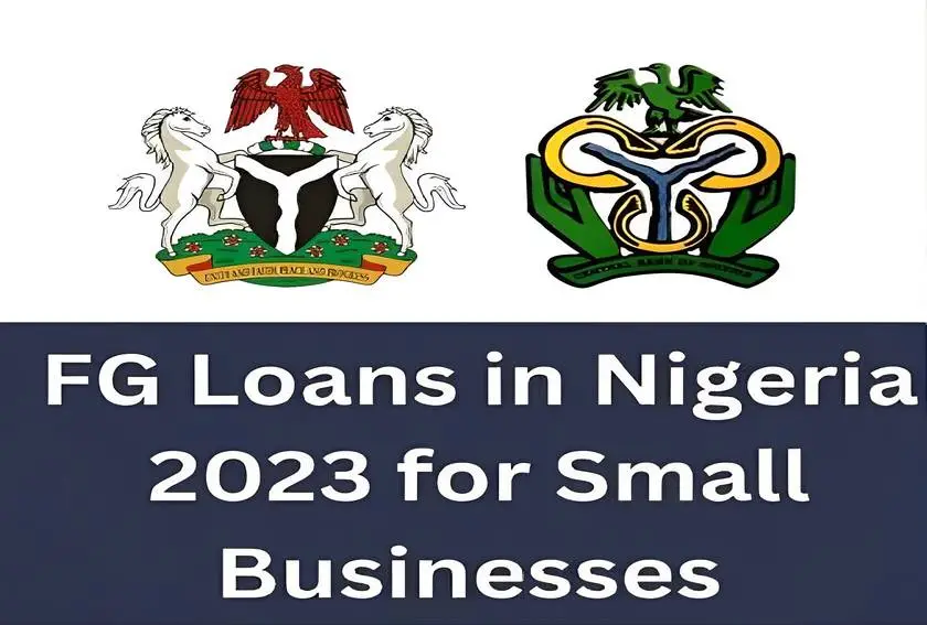 Complete List of Ongoing nigerian Federal Government FGN and CBN Loans and Grants For 2023. 