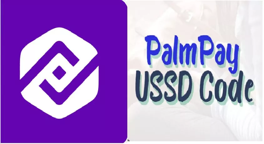 palmpay USSD cODE