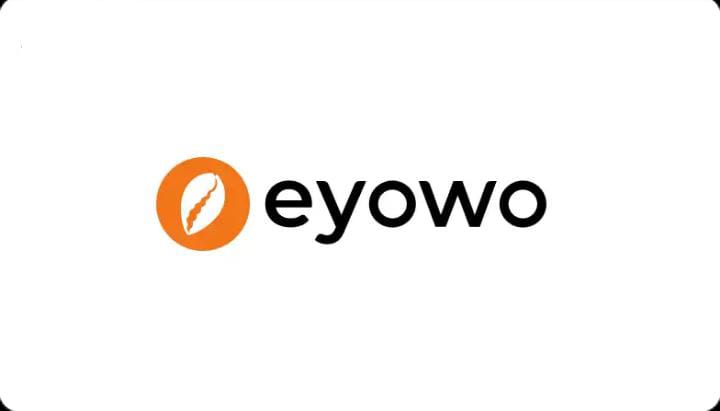Is Eyowo Legit