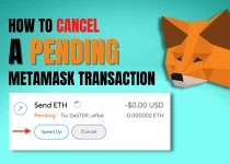How to Cancel Pending Transaction on MetaMask in 2023