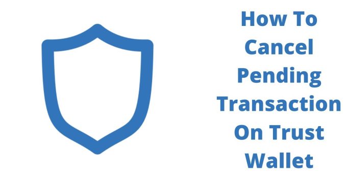 How to Cancel Pending Transaction on Trust Wallet in 2023