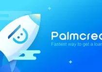 Forgot My Palmcredit Password and Pin - How to Reset, Change, and Recover Palmcredit Bank Password and Pin