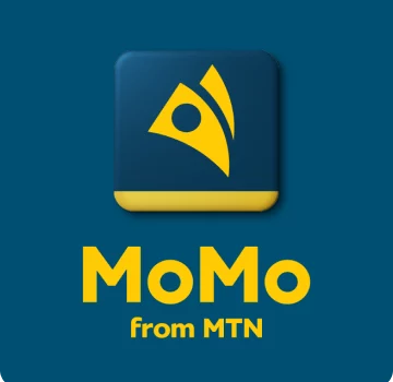 Forgot My MTN Momo Password and Pin - How to Reset, Change and Recover MTN Momo banking Password and Pin