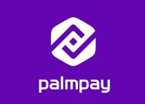Forgot My Palmpay Password and Pin - How to Reset, Change and Recover Palmpay Bank Password and Pin