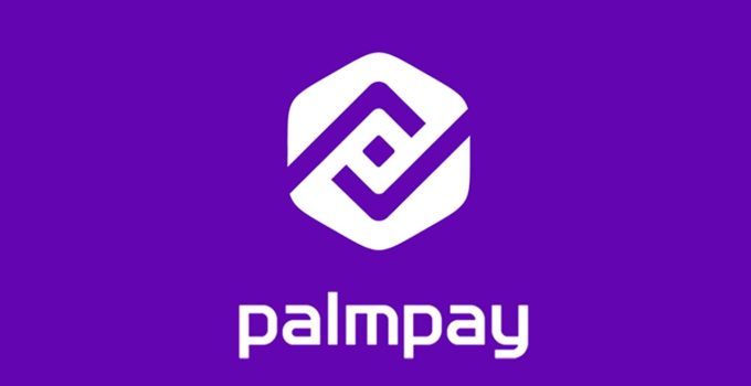 Forgot My Palmpay Password and Pin - How to Reset, Change and Recover Palmpay Bank Password and Pin