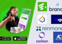 Which App Gives Loan Immediately in Nigeria