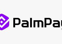 Is Palmpay Legit? Palmpay Review