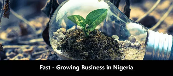 List of Fast Growing Business in Nigeria