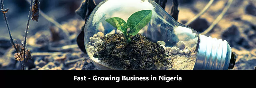 List of Fast Growing Business in Nigeria