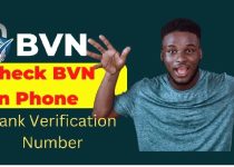 How To Check BVN Without Airtime, How to Get BVN Number Without Going to Bank