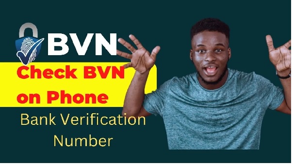 How To Check BVN Without Airtime, How to Get BVN Number Without Going to Bank