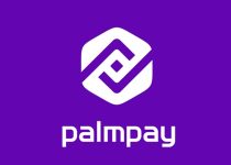 Palmpay Balance Adder How To Do Fake Transfer On Palmpay